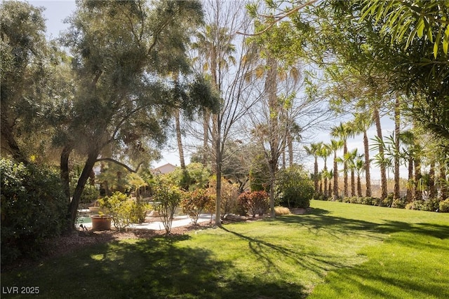 2041 Troon Dr, Henderson, NV 89074 - view of grassy yard