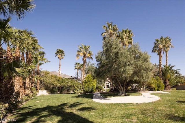 2041 Troon Dr, Henderson, NV 89074 - view of grassy yard