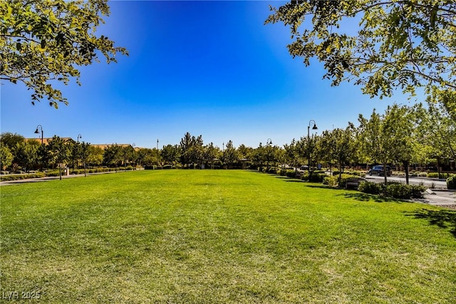 3240 Avernus Ave, Henderson, NV 89044 - view of grassy yard