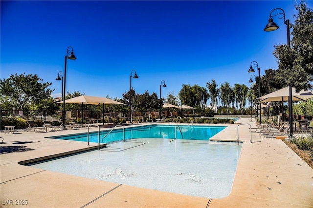 3240 Avernus Ave, Henderson, NV 89044 - community pool with a patio area