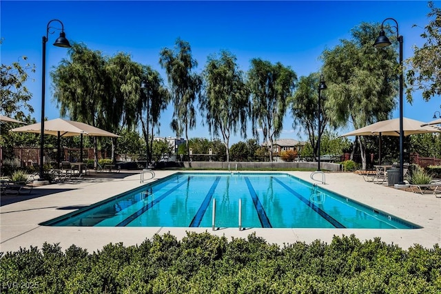 3240 Avernus Ave, Henderson, NV 89044 - community pool featuring a patio
