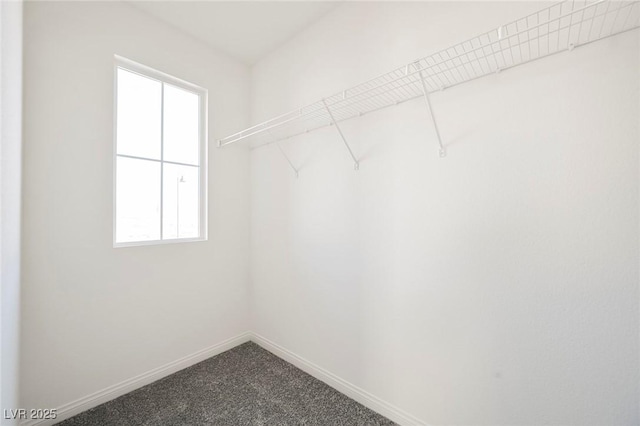 3240 Avernus Ave, Henderson, NV 89044 - walk in closet featuring carpet