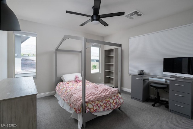 12495 Point Sierra St, Las Vegas, NV 89138 - photo 40