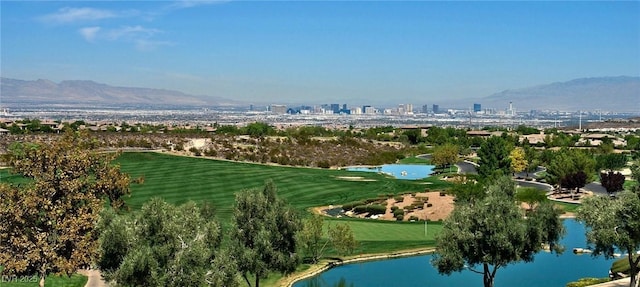 5 Clear Crossing Trl, Henderson, NV 89052 - photo 59