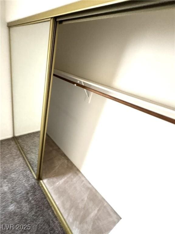 9070 Spring Mountain Rd Unit 109, Las Vegas, NV 89117 - view of closet