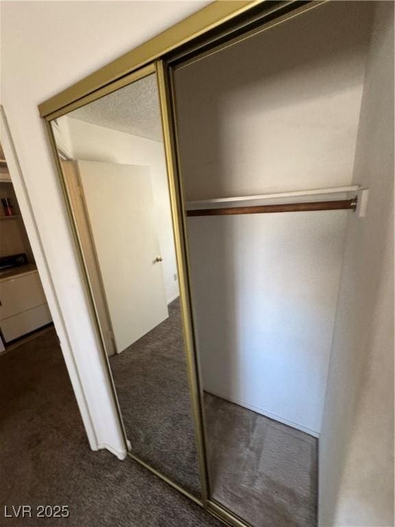9070 Spring Mountain Rd Unit 109, Las Vegas, NV 89117 - view of closet