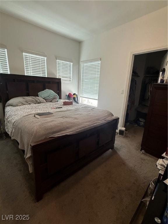 1618 Dakota Group Ave, North Las Vegas, NV 89084 - bedroom with dark colored carpet and a walk in closet