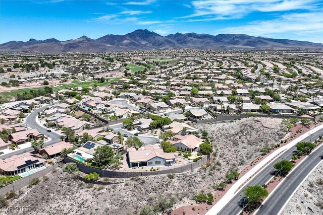 2899 Brook Trout Ct, Henderson, NV 89052 - photo 61