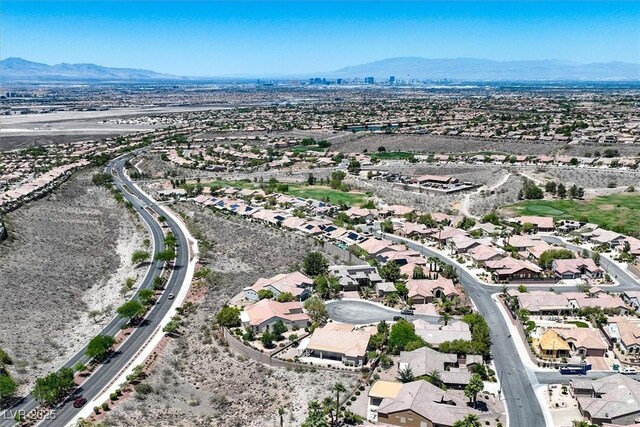 2899 Brook Trout Ct, Henderson, NV 89052 - photo 62