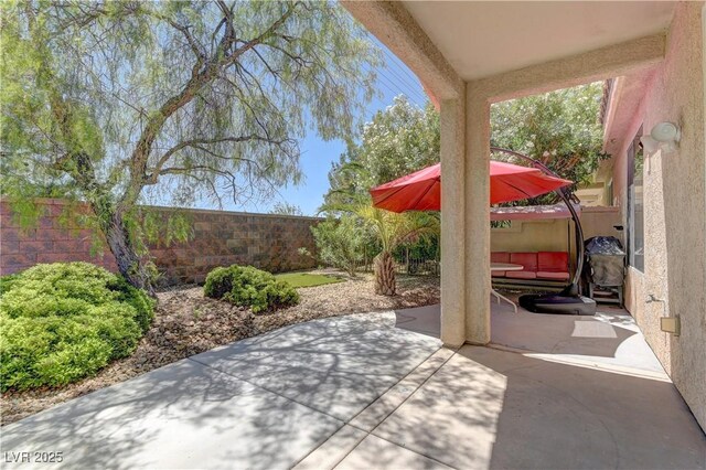 4672 Regalo Bello St, Las Vegas, NV 89135 - photo 20