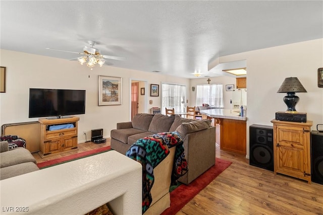 2730 Banyon St, Pahrump, NV 89048 - living room with light wood-type flooring and a ceiling fan