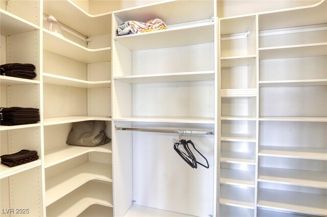 9905 Fox Springs Dr, Las Vegas, NV 89117 - view of spacious closet