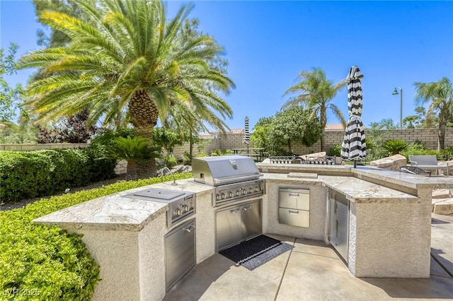 9905 Fox Springs Dr, Las Vegas, NV 89117 - fenced backyard featuring an outdoor kitchen and a patio area