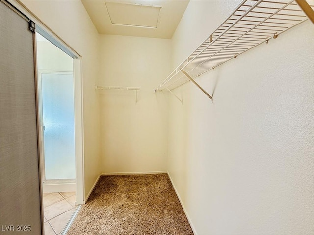 338 Brilliant Summit Cir, Henderson, NV 89052 - walk in closet with carpet