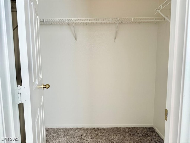 338 Brilliant Summit Cir, Henderson, NV 89052 - spacious closet featuring carpet flooring