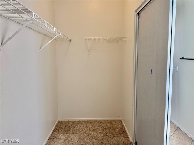 338 Brilliant Summit Cir, Henderson, NV 89052 - spacious closet featuring light carpet