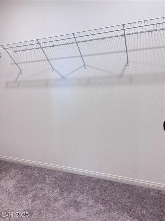 4993 Birchland Manor Ave, Las Vegas, NV 89139 - walk in closet with carpet flooring