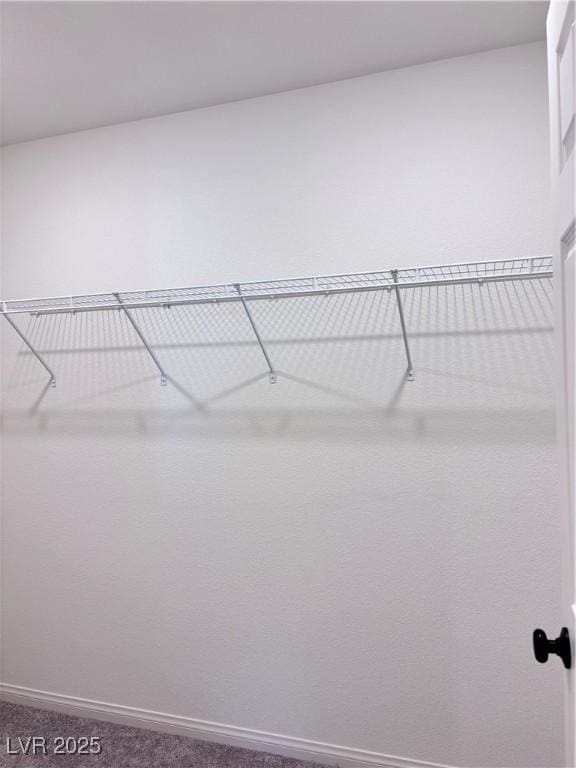 4993 Birchland Manor Ave, Las Vegas, NV 89139 - walk in closet with carpet floors