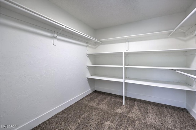 4277 Rimcrest Rd, Las Vegas, NV 89121 - spacious closet with dark carpet