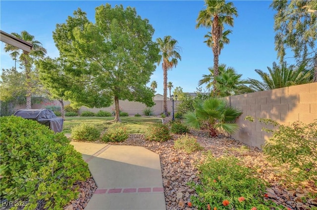 8812 Glenistar Gate Ave, Las Vegas, NV 89143 - view of fenced backyard