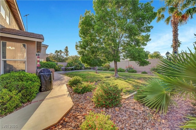 8812 Glenistar Gate Ave, Las Vegas, NV 89143 - view of yard