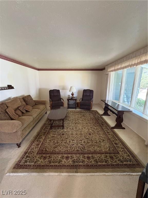 1133 Bell Ave, Ely, NV 89301 - living area with carpet floors and crown molding