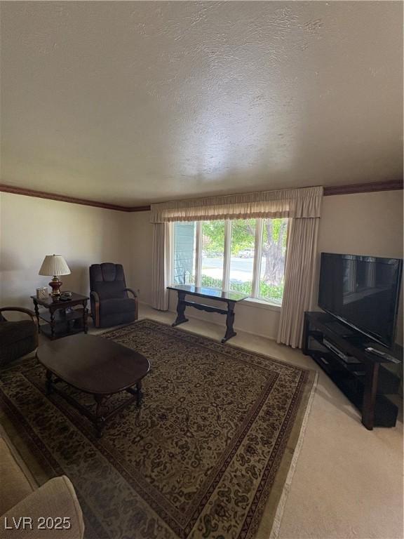 1133 Bell Ave, Ely, NV 89301 - living area featuring carpet floors, ornamental molding, and a textured ceiling