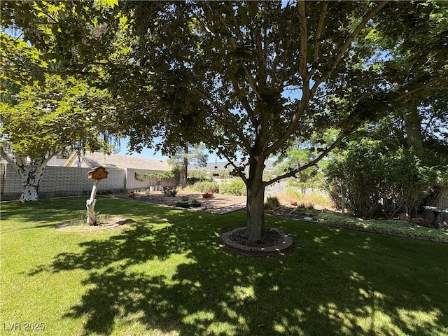 1133 Bell Ave, Ely, NV 89301 - view of grassy yard