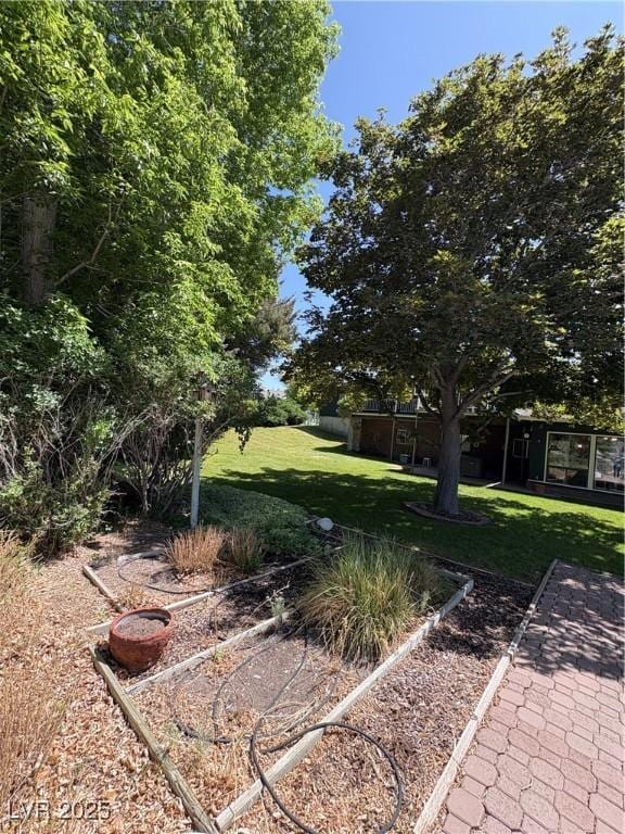 1133 Bell Ave, Ely, NV 89301 - view of green lawn