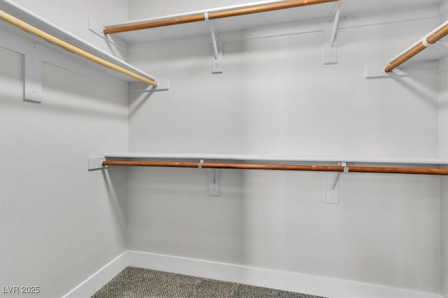 10373 Midnight Iris St, Las Vegas, NV 89183 - walk in closet with carpet floors