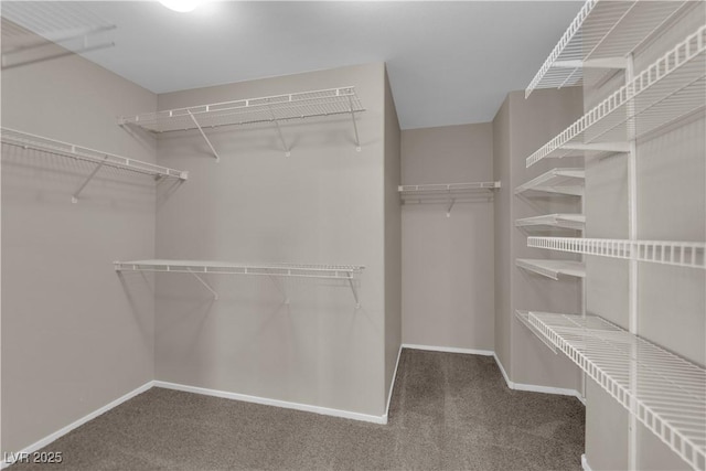 1553 Ivygate Ave, Las Vegas, NV 89183 - spacious closet with carpet floors