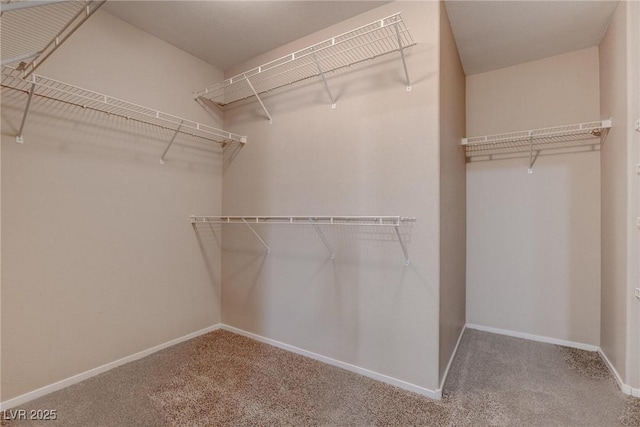 1553 Ivygate Ave, Las Vegas, NV 89183 - photo 3