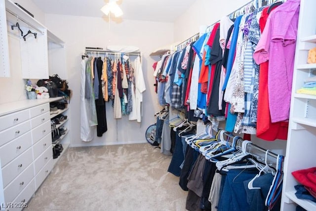 5935 Saddle Horse Ave, Las Vegas, NV 89122 - walk in closet with carpet flooring
