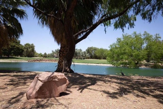 5935 Saddle Horse Ave, Las Vegas, NV 89122 - water view