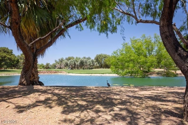 5935 Saddle Horse Ave, Las Vegas, NV 89122 - water view