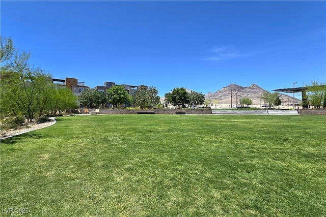 11739 Emerald Lake Ave, Las Vegas, NV 89138 - photo 42