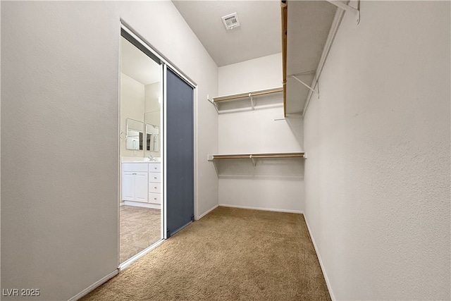 11139 Zarod Rd, Las Vegas, NV 89135 - spacious closet with carpet floors and a sink