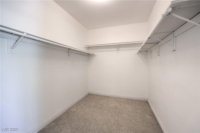 1869 Desert Forest Way, Henderson, NV 89012 - walk in closet featuring light carpet