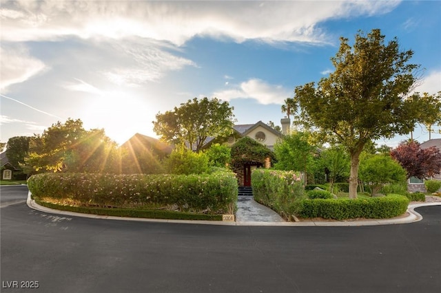 3004 Astoria Pines Cir, Las Vegas, NV 89107 - view of property's community