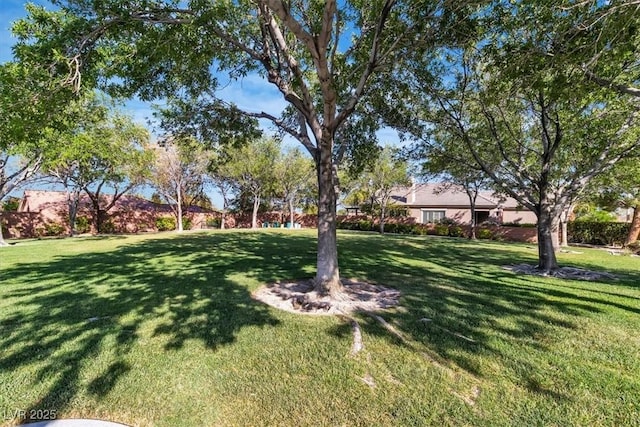 11253 Revelry Ln, Las Vegas, NV 89138 - view of green lawn