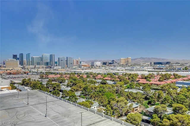 4381 W Flamingo Rd Unit 1512, Las Vegas, NV 89103 - photo 29