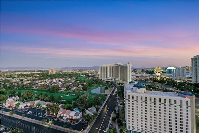 322 Karen Ave Unit 2501, Las Vegas, NV 89109 - photo 21