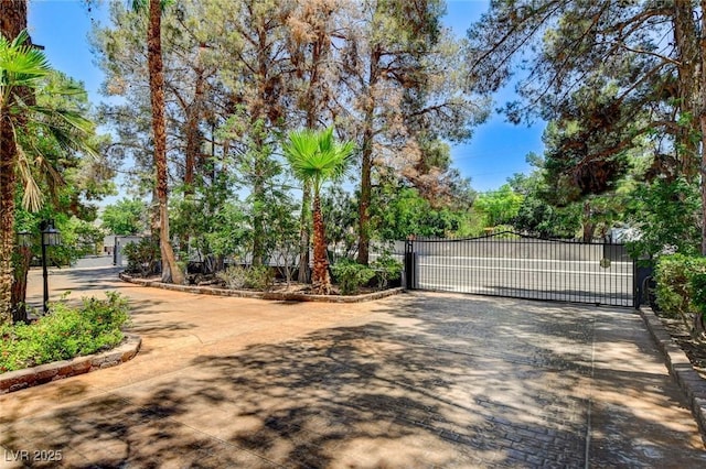 5260 N Jones Blvd, Las Vegas, NV 89130 - view of decorative road with a gate, curbs, and a gated entry
