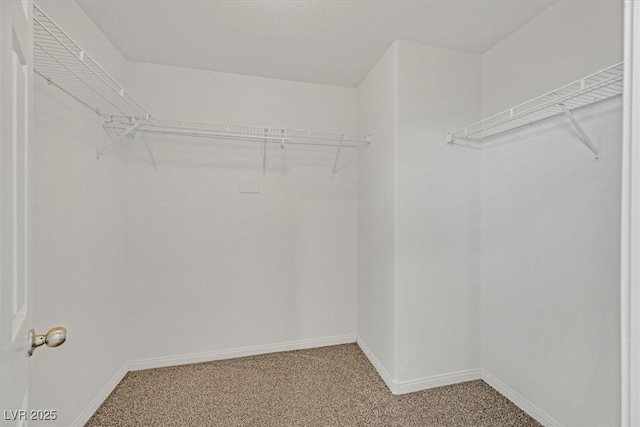 1109 Claire Rose Ave, Las Vegas, NV 89183 - walk in closet featuring light carpet