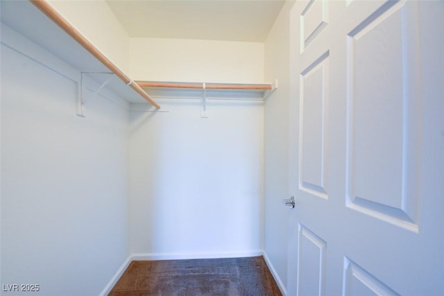 23 E Agate Ave Unit 207, Las Vegas, NV 89123 - spacious closet with dark carpet