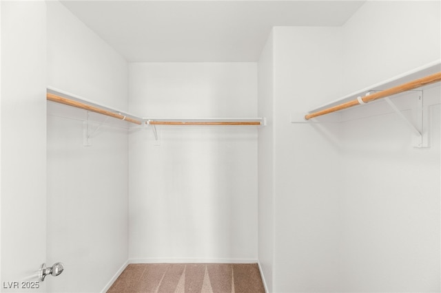 10437 Coyote Cub Ave, Las Vegas, NV 89129 - walk in closet with carpet floors