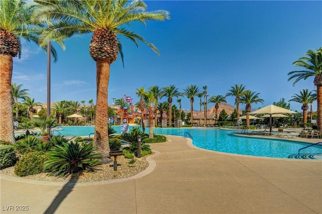 832 Gallery Course Dr, Las Vegas, NV 89148 - photo 72