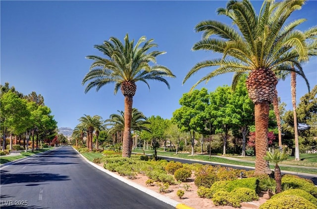 832 Gallery Course Dr, Las Vegas, NV 89148 - photo 55