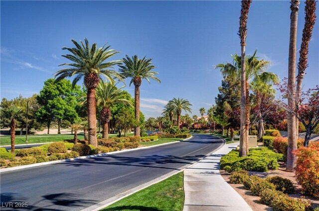832 Gallery Course Dr, Las Vegas, NV 89148 - photo 56