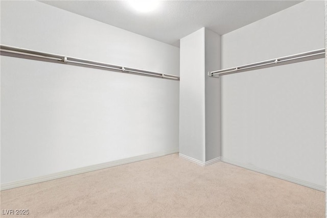 9004 Harbor Wind Ave, Las Vegas, NV 89178 - walk in closet featuring carpet flooring